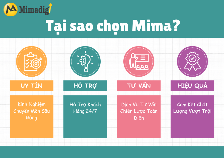 Tại sao nên chọn dịch vụ thiết kế website tại Mima