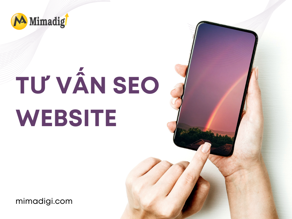 Tư Vấn SEO Website
