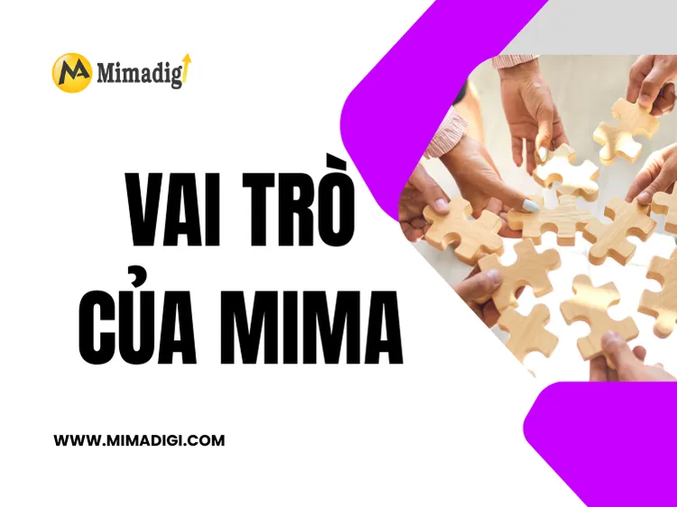 MIMA’s Role in Crafting Company Introductions at mima