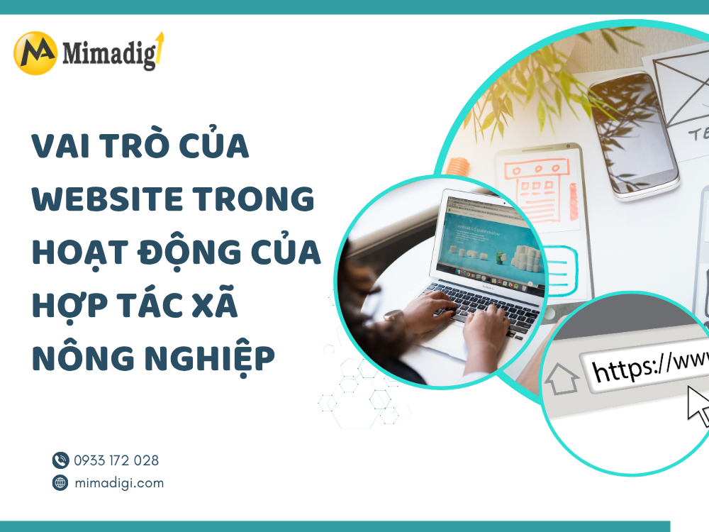 Vai trò của website trong hoạt động của hợp tác xã nông nghiệp tại mimadigi