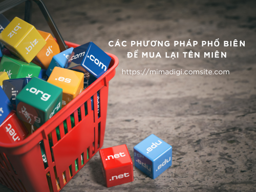 Cách mua lại tên miền đẹp đã bị sở hữu của mimadigi