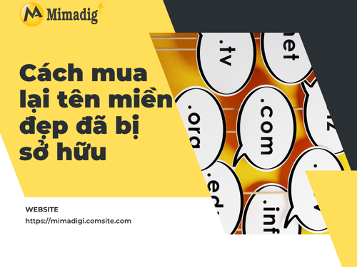 Cách mua lại tên miền đẹp đã bị sở hữu của mimadigi