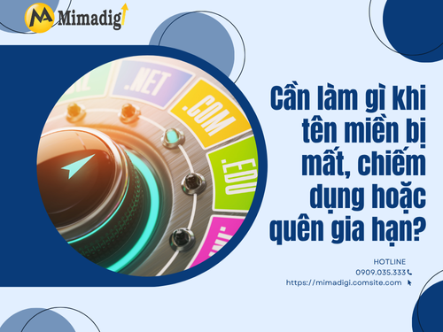 Quản lý tên miền như thế nào để tránh mất mát và sai sót? của mimadigi