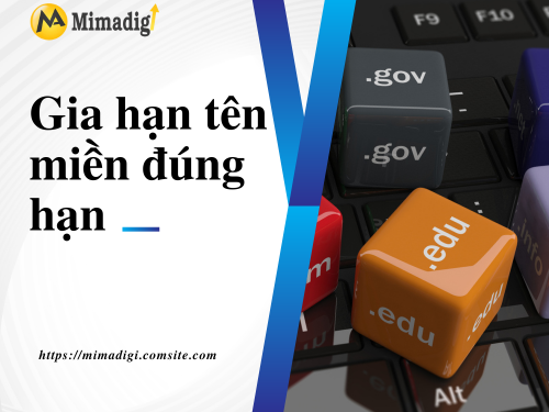 Quản lý tên miền như thế nào để tránh mất mát và sai sót? của mimadigi
