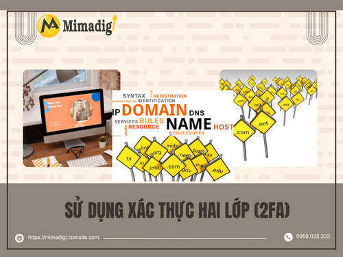 Quản lý tên miền như thế nào để tránh mất mát và sai sót? của mimadigi