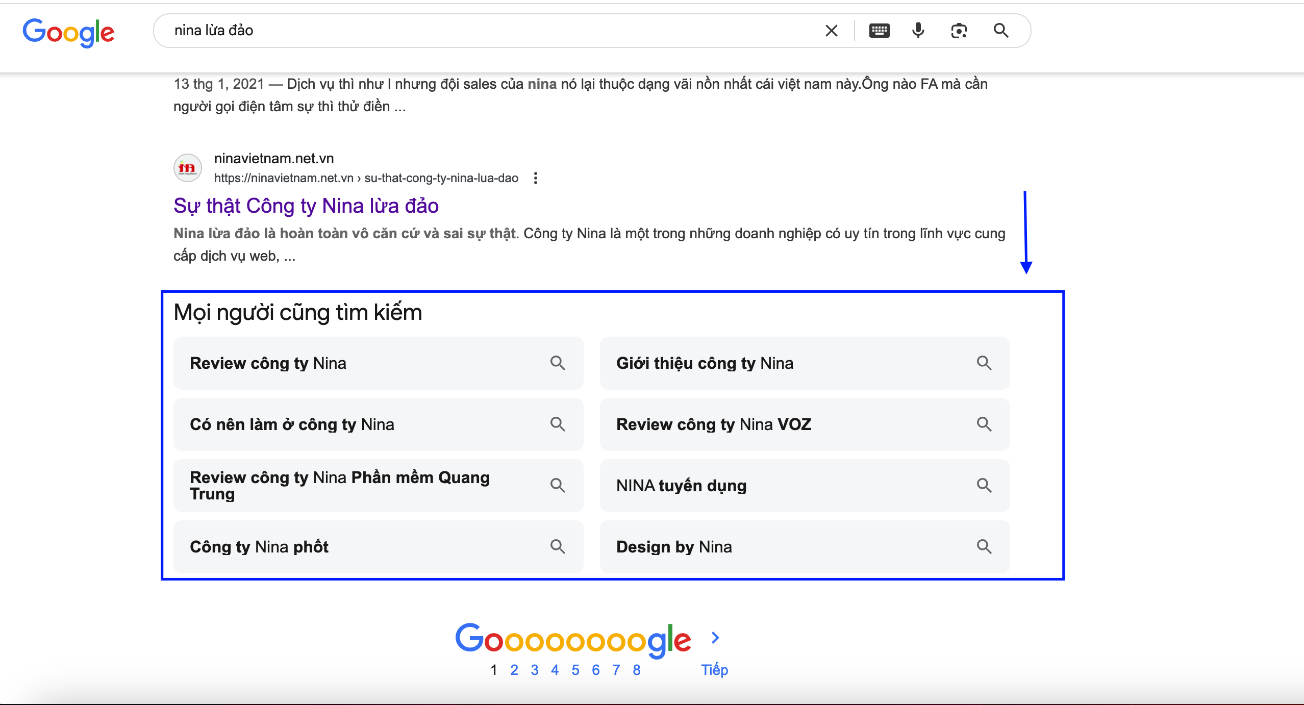 NINA Lừa Đảo? Góc Nhìn Đa Chiều Về Công Ty Thiết Kế Web NINA