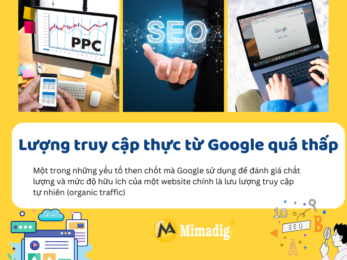 Too Little Real Traffic From Google at MIMADIGI
