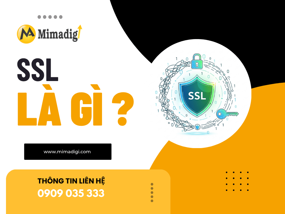 What is SSL? at MIMADIGI