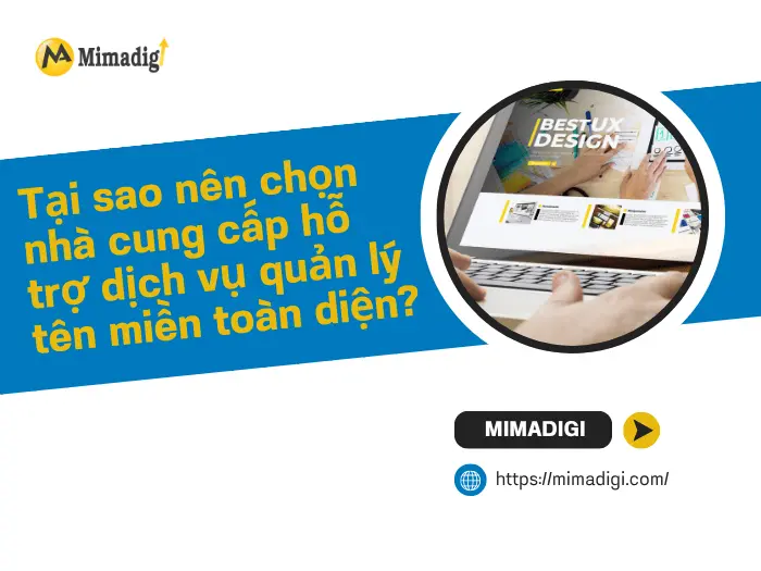 Tại sao nên chọn nhà cung cấp hỗ trợ dịch vụ quản lý tên miền toàn diện?