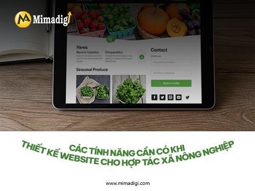 Thiết kế website hợp tác xã nông nghiệp tại mimadigi