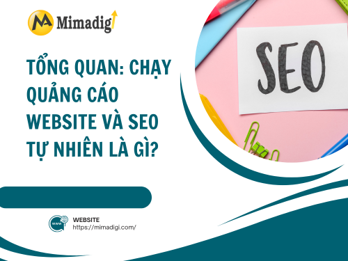 Lợi ích của chạy quảng cáo website so với SEO tự nhiên tại mimadigi