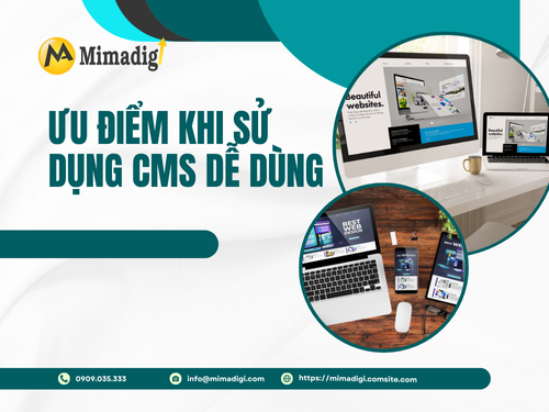 Website có CMS dễ sử dụng cho người không chuyên tại mimadigi