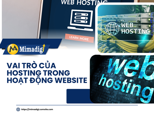 Các loại hosting phổ biến hiện nay của mimadigi