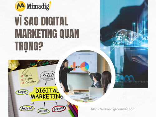 Digital Marketing là gì? Tổng quan toàn diện cho người mới của mimadigi