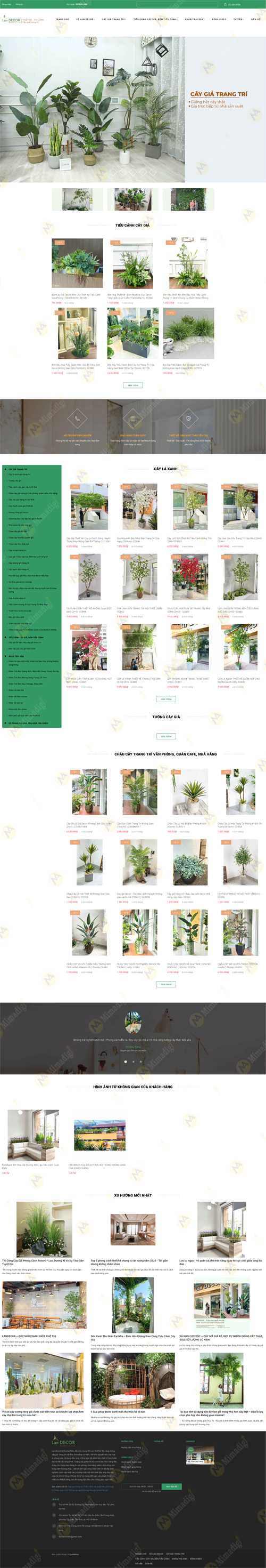 LanDecor – Nghệ thuật trang trí nội thất kết hợp cây xanh hoàn hảo tại mimadigi