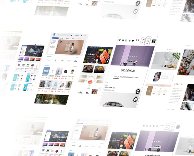 Dự án đối tác MIMA